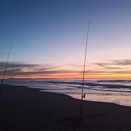 Апартаменты Residencia Odyssee *